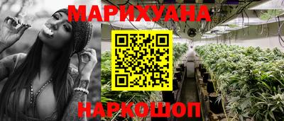 PSILOCYBIN Нальчик