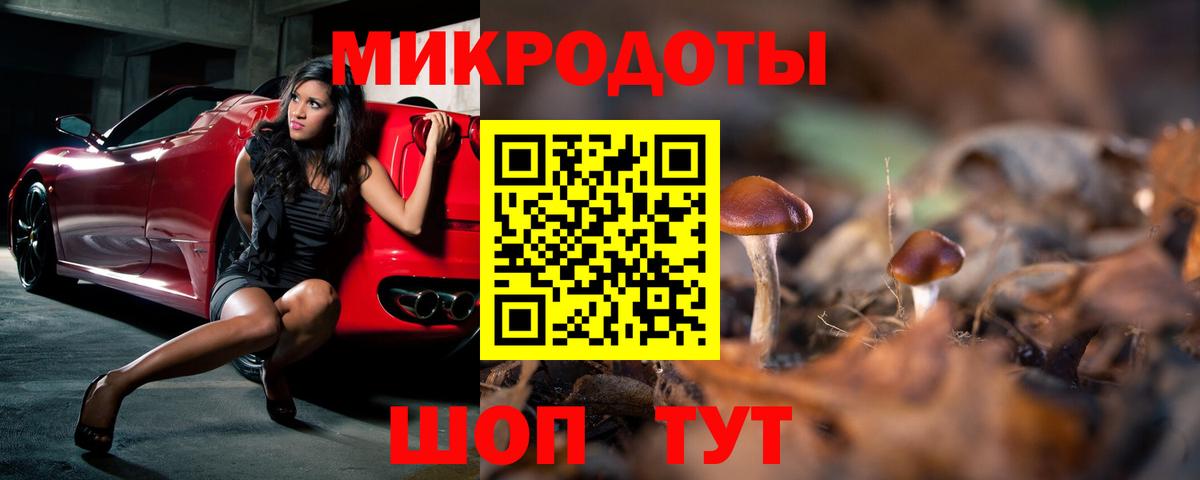 Феодосия  Галлюциногенные грибы MAGIC MUSHROOMS  Вход с VPN  Галлюциногенные грибы Psilocybe 